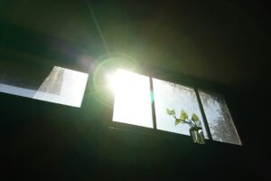 light 